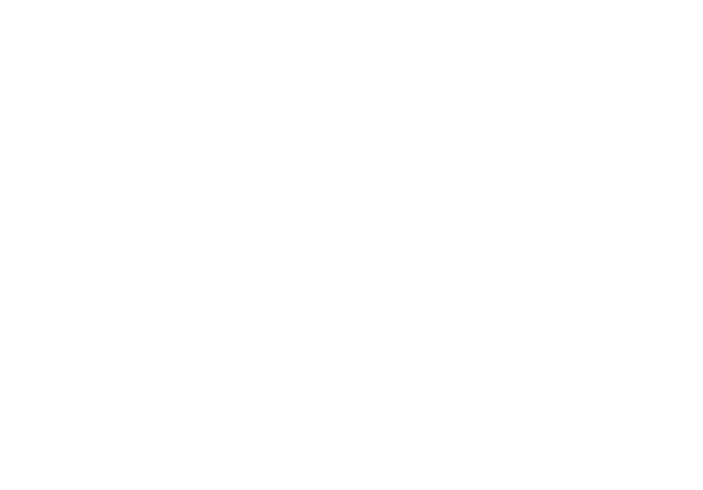 Crystal Hunt